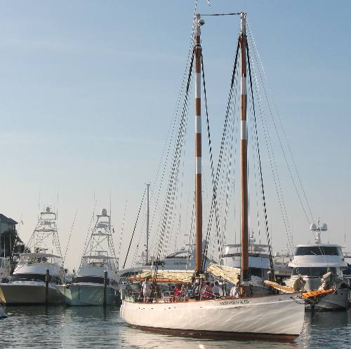 This is the Adirandack III backing out of their slip in Key West Bight Marina