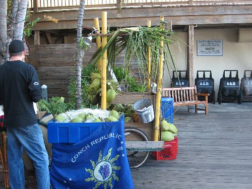 Ice cold coconuts for sale at this booth along Harbor Walk at Key West Bight Marina