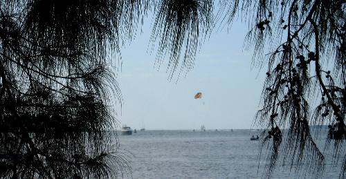 View from the north side of Key West Bight Marina