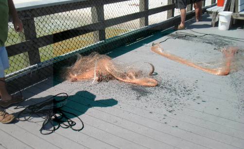 Cast nets on the pier