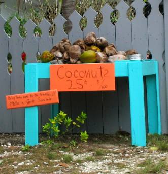 Coconuts 25-cents