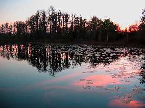 Reflections on Dixie Lake in Lake Louisa State Park Clermont, FL
