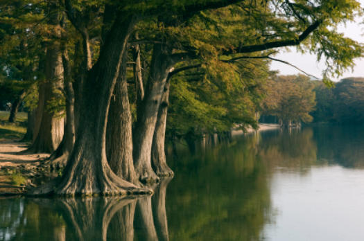 Guadalupe River as it flows past Kerrville