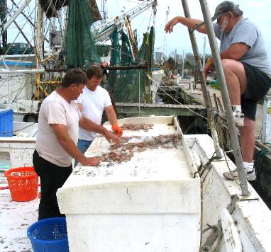 Shimpers and Shrimp boats Apalachicola