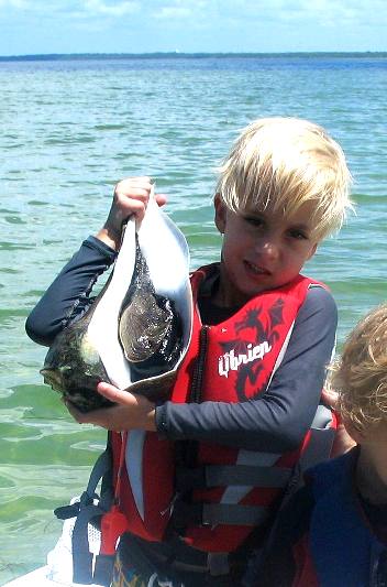Stephen Hendrix with large live whelk St Joe Bay