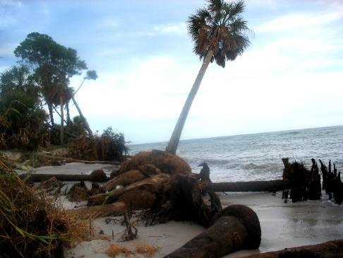 Cape San Blas