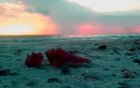 Cape San Blas