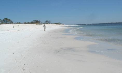 Beach scene St Andrews State Park