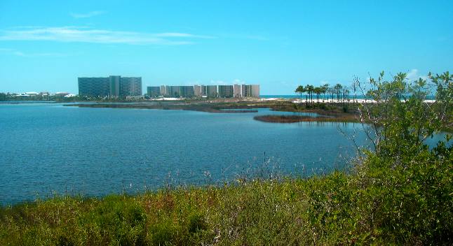 Phillips Inlet from Camp Helen State Park