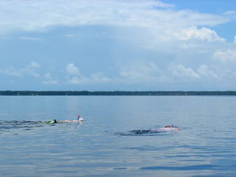 Snorkling St Joe Bay