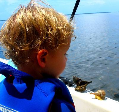 Bennett Hendrix St Joe Bay sealife