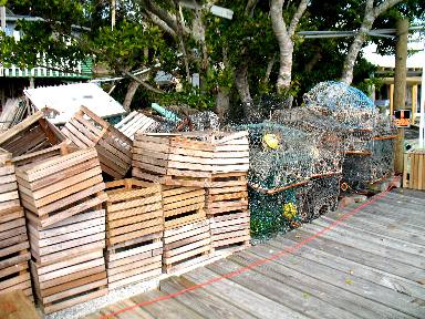 Stone crab traps on Dock in Cortez