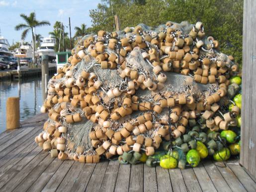 Fishing nets on dock in Cortez
