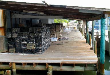 Stone Crab traps on Dock in Cortez