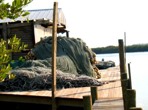 Large purse seine net on dock in Cortez