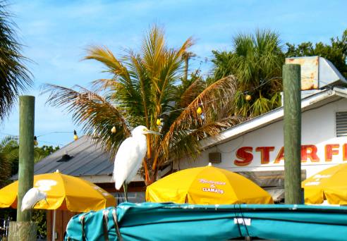 Star Fish House Cortez, Florida