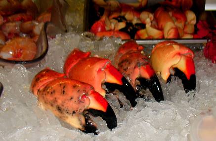 Star Fish Company display in Cortez