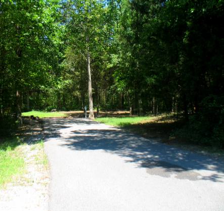 Typical interior site at Seven Points COE Campground