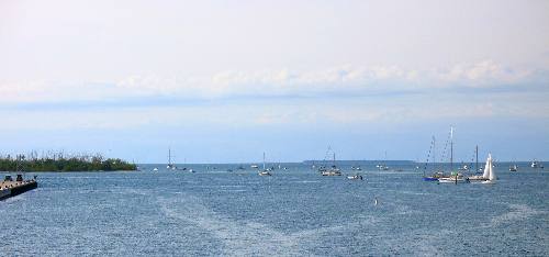 View of anchorage from Trumbo Point Campground in Key West