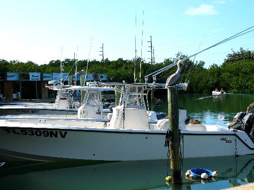 Charter boats in Hurricane Hole Marina Key West, Florida