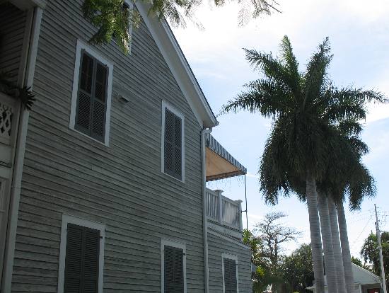 Magnificent Royal Palm Trees lining the sidewalk along Duval Street in Key West